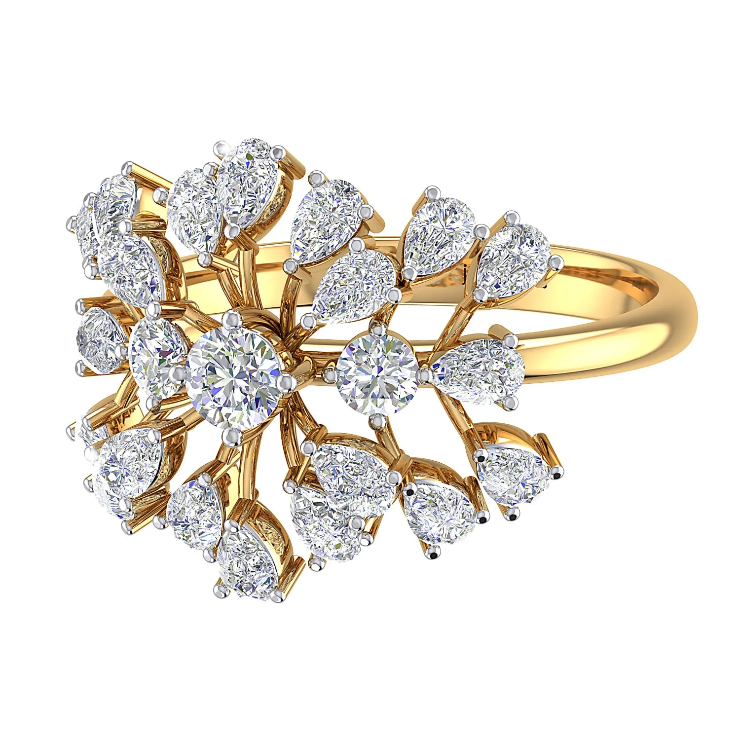 THE CORRAL CLUSTER RING